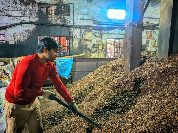 Worker turning cashew shell material for processing