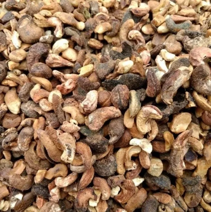 Cashew rejects